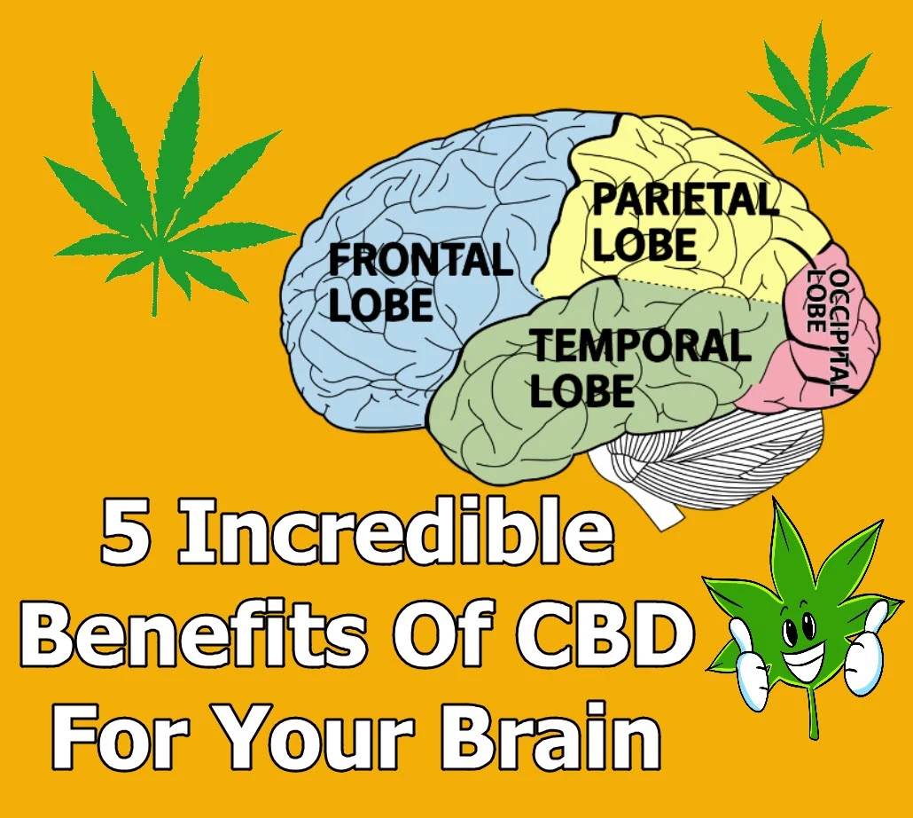 cbd benefit for brain