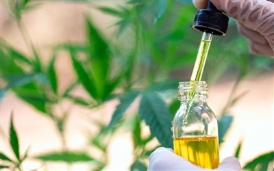9 переваг CBD олії для здоров’я — і побічні ефекти