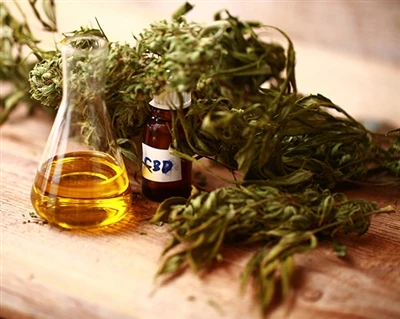 Як працює CBD?