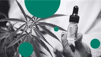 Чому CBD робить найкращі натуральні бальзами для губ