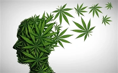 Як використовувати олію CBD для отримання оптимальних переваг: повний посібник?